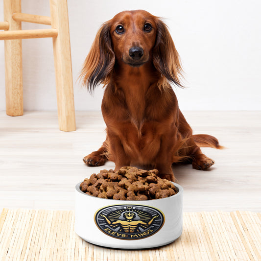 Elev8minds Pet bowl
